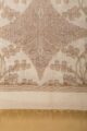 Image for Kudu Cream Beige Chanderi Dupatta Closeup
