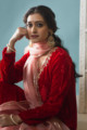 Image for Kusvaa Kudu73 Organza Dupatta Closeup