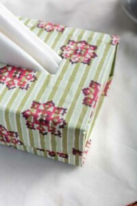 Image for Kusvaa Wsra110 Chaitali Multicolored Tissue Dispenser Front