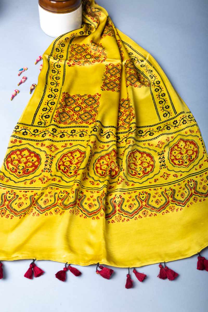 Image for Kusvaa Kiadupatta44 Niesha Kalamkari Modal Stole Closeup