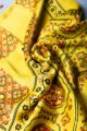 Image for Kusvaa Kiadupatta44 Niesha Kalamkari Modal Stole Front