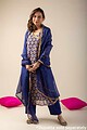 Image for Kusvaa Wkr037 Deeya Chanderi Straight Kurta Sleeves New