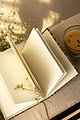 Image for Kusvaa Dia001 Kusvaa Dia001 Abhivritti Diary Sitting