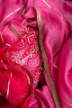 Image for Kusvaa Dup233 Maithaly Chanderi Silk Dupatta Sitting