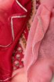 Image for Kusvaa Dup269 Anvitha Kota Doriya Dupatta Side